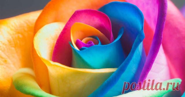 На что влияют цвета по фен шуй 
Нас постоянно окружают цветовые тона, полутона и порой они начинают сильно влиять на нашу жизнь, что не особо нами замечается.
 
Например, не зная значение цвета по фэншую для бизнеса можно в самом е…