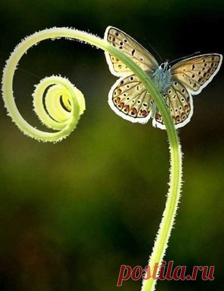 Интересные новости