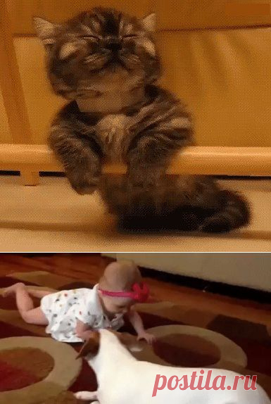 Одноклассники