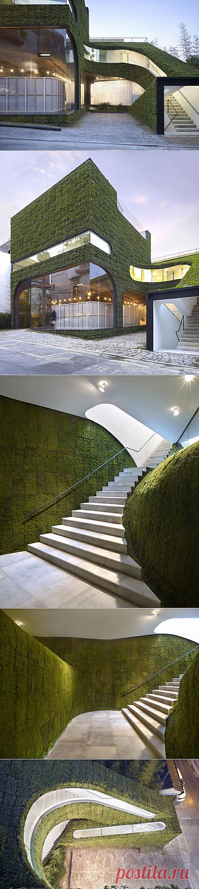 Стильный дом - Травяной Дом моды Анн Демельмейстер.