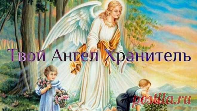 (60) Одноклассники
