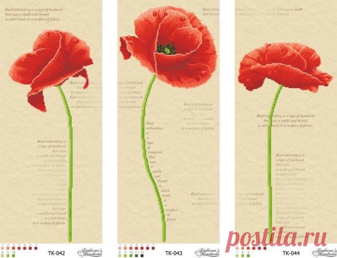 (14) Одноклассники