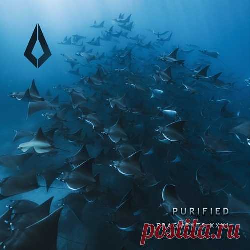VA – Purified Fragments XXXI [PF0228BP] - HypeDJ.top