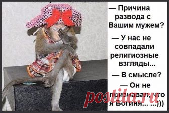 132765153_image__7_.jpg (548×369)