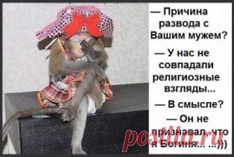 132765153_image__7_.jpg (548×369)