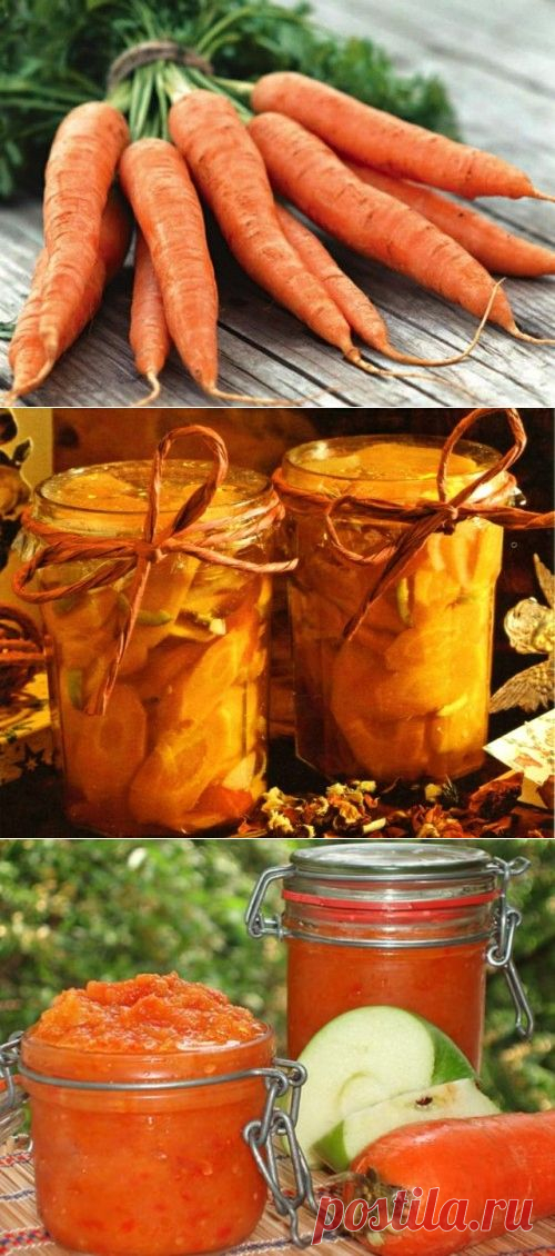 Заготовки из моркови / Простые рецепты