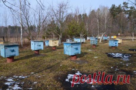 Одноклассники