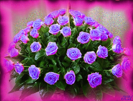 469385621.gif (600×455)