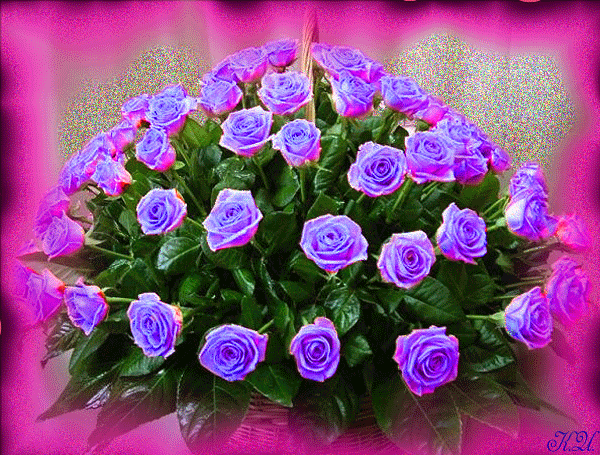 469385621.gif (600×455)