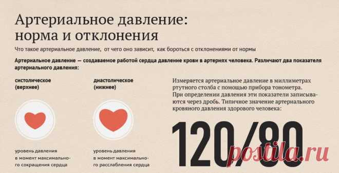 Инфографика: Артериальное давление: норма и отклонения.