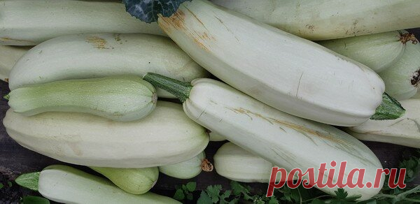 Нашла куда применить 