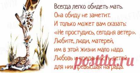 В нас живут непрощённые родители.