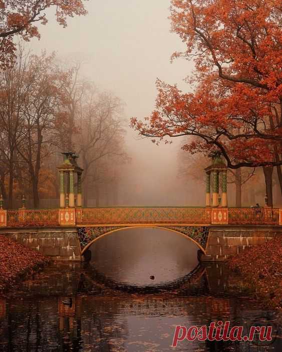 Pinterest