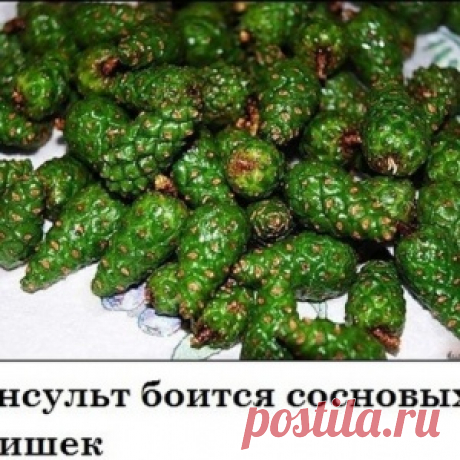 Наиболее популярные новости - МирТесен