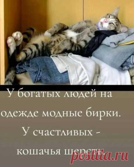 юмор