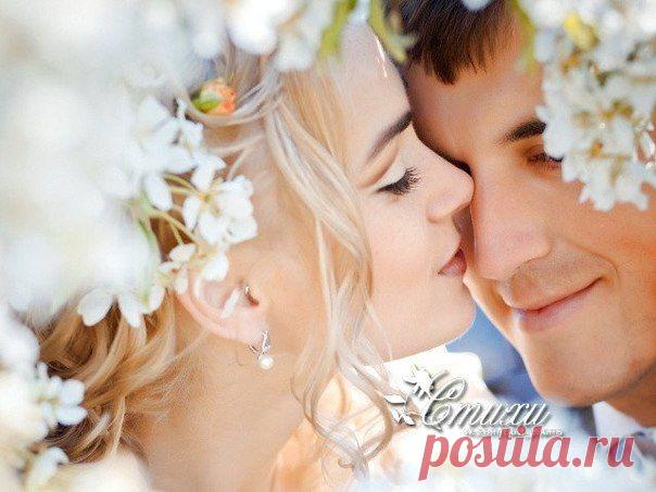 Я добавлю тебя и в друзья, и в мужья, и в любовники…
Я тобою заполню секунды, часы и года…
Мне с тобой хорошо в облаках, и в колючем терновнике…
Для тебя у меня бесконечно-влюблённое «ДА»…

У меня от тебя сбой программ, мотыльки… и бессонница…
У тебя от меня… антивирус влюбился в троян…
Разум рысью бежит за любовью… ругается, гонится…
Но не ищет любовь ни мотив, ни прилив, ни изъян…

От меня до тебя сообщенья, звонки и признания…
От тебя до меня: «Я скучаю, скорей приезжай