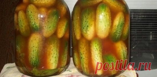 Самые вкусные, по мнению моей семьи и всех моих подруг, МАРИНОВАННЫЕ ОГУРЧИКИ с кетчупом - Кухня мира
