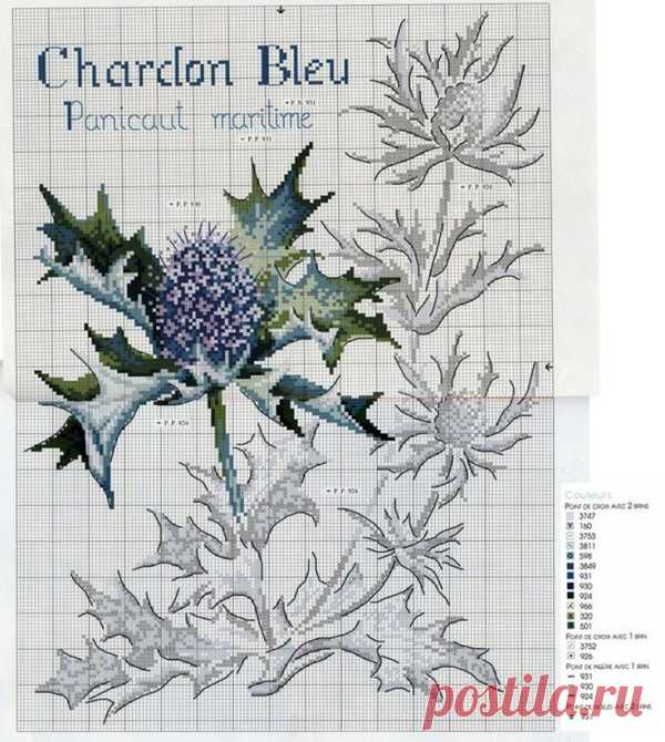 DFEA etude botanique cross stitch pattern.