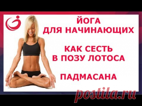 Йога для начинающих. Как сесть в Позу Лотоса. Падмасана.
