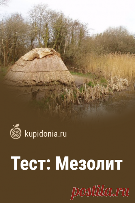 Тест: Мезолит. Тест о мезолите, который вы можете пройти на этой странице нашего сайта состоит из 10 вопросов с ответами. Проверьте ваши знания об этой эпохе в развитии человечества.