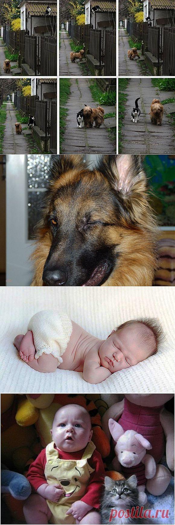 Елена Иванова