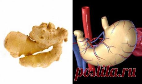 Секрет природы: сходство продуктов и человеческих органов, для которых они полезны