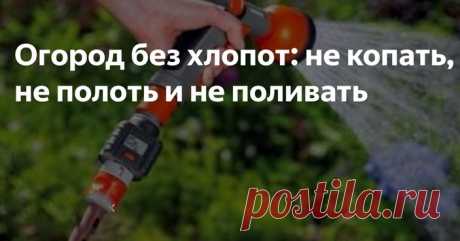 Огород без хлопот: не копать, не полоть и не поливать - Своими руками на даче - как посеять, сажать, ухаживать за растениями и цветами