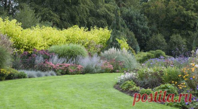 Цветник непрерывного цветения 

Какие нужно подобрать растения, чтобы цветник был красивым круглый год и не требовал много затрат?


Сроки декоративности цветника непрерывного цветения – с конца апреля до конца октября. В каждый м…