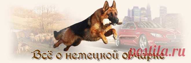 Форум