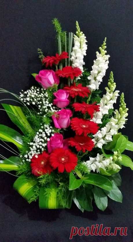 (815) Pinterest