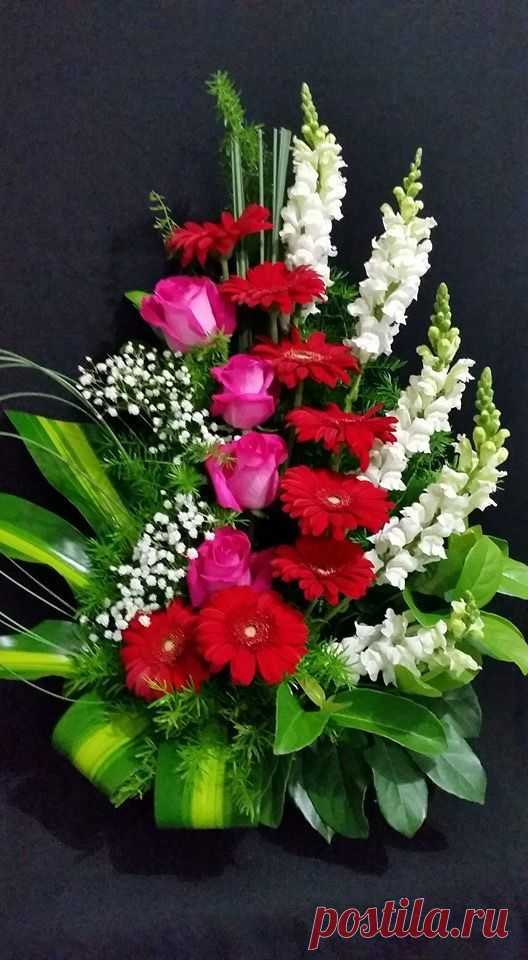 (815) Pinterest