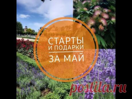 Старты и подарки за месяц май #panna #алиса