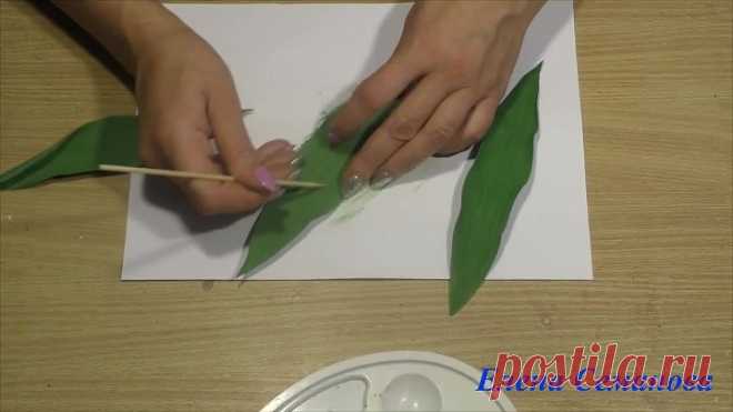 (69) Одноклассники