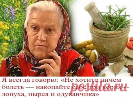 Я ВСЕГДА ГОВОРЮ ";НЕ ХОТИТЕ НИЧЕМ БОЛЕТЬ - НАКОПАЙТЕ СЕБЕ ТРИ КОРНЯ - ЛОПУХА, ПЫРЕЯ, ОДУВАНЧИКА. 
 Из этих корней вы сделаете сбор и будете его пить.  
Целебные корни — Мы бережем картошку, а сорняки выбрасываем. А они бывают ценнее, чем картошка. Никакие сорняки выбрасывать нельзя. Придет день для каждого человека, когда ему будет нужна не картошка, а лечение. Все сорняки лечат! Все эти трудноискоренимые сорняки утверждают свою необходимость всему живому на земле. 
Пырей — это злостный сорняк