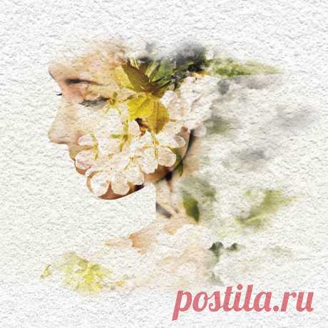 Фреска «Флорентина».
Текстура имитирует поверхность старинных стен флорентийских дворцов эпохи Возрождения.

Максимальный размер единого полотна — 10,0х3,14 м.