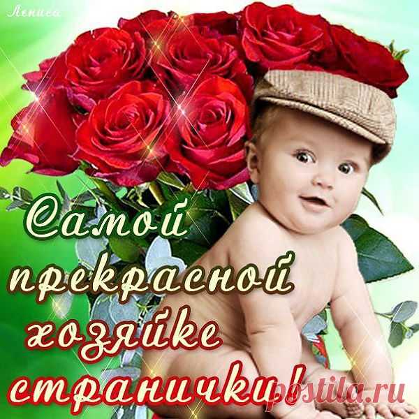 pBipipttAoU.jpg (604×604)