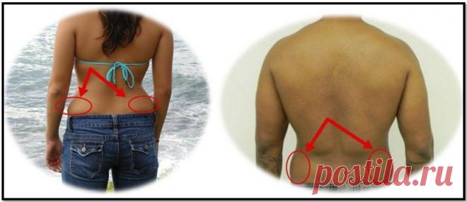 ПРАКТИЧЕСКОЕ РУКОВОДСТВО: КАК УБРАТЬ БОКА? — Всегда в форме!