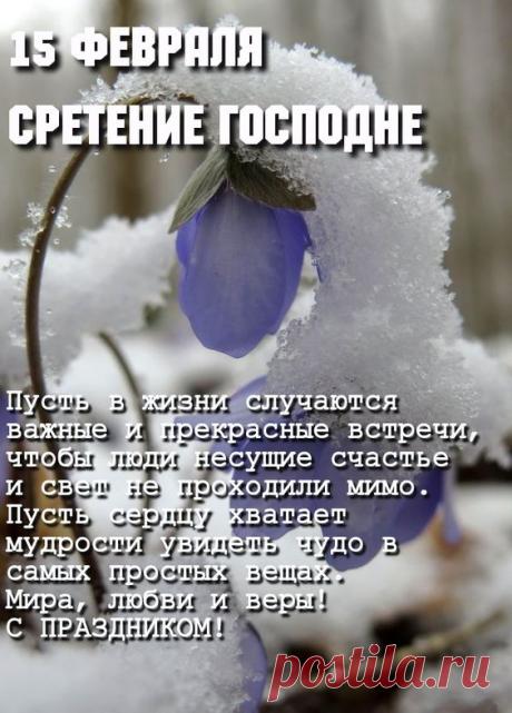 Пин содержит это изображение: