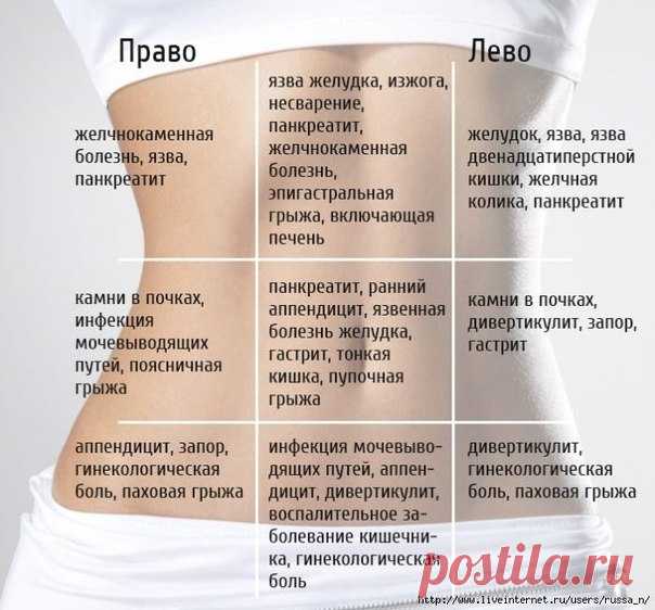 Карта боли живота. На что стоит обратить внимание