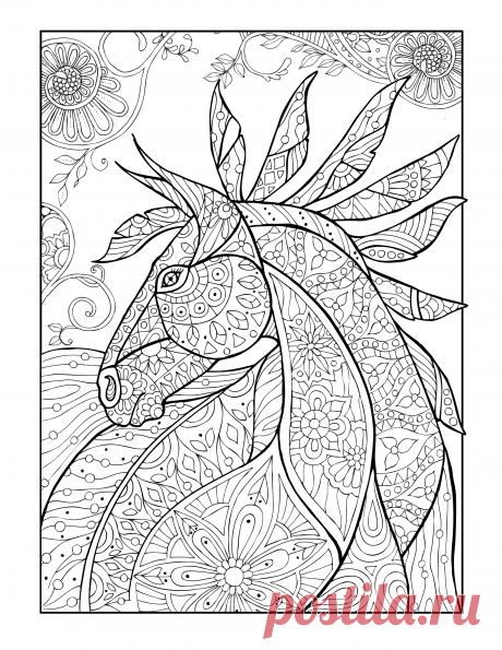 Horses And Other Animals Free | Selah Works - Cindy's Adult Coloring Books and so much more
