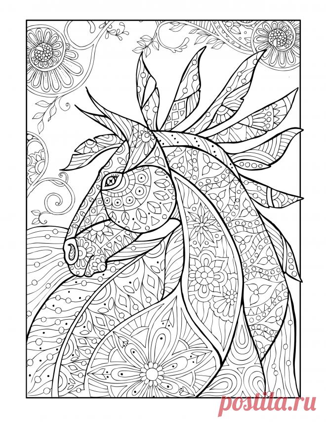 Horses And Other Animals Free | Selah Works - Cindy's Adult Coloring Books and so much more