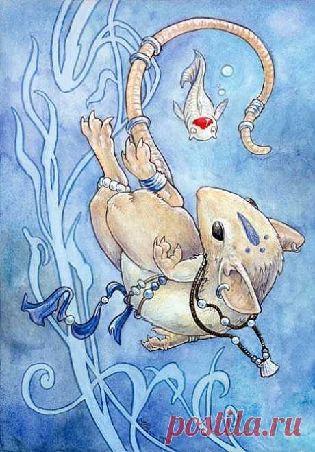 Water_Mouse_by_ursulav[1] - Фурри - Арт-галереи (избранное) - Галереи - Мир Сотворенный