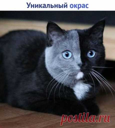 Мой Мир@Mail.Ru