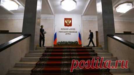 Госдума приняла проект об уточнении трактовки гуманизма в образовании