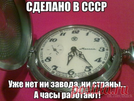 Кот Учёный