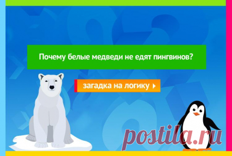 Почему белые медведи не едят пингвинов? - Загадка на логику