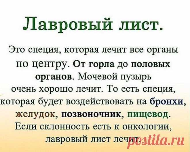 ЛАВРОВЫЙ ЛИСТ В ПОМОЩЬ