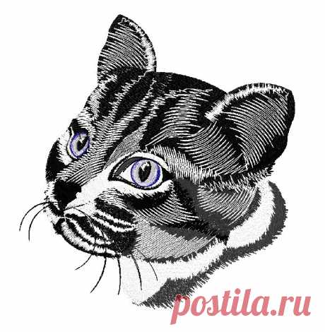 E-chef - вышивка удивленный кот Располагается на кармане или на груди куртки или фартука, на рукаве. Выберите место, где вышить кота и размер вышивки.