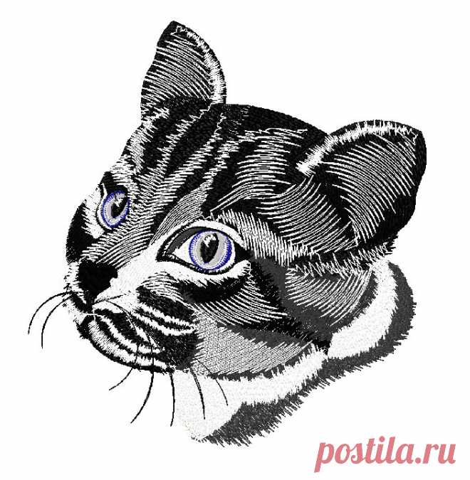 E-chef - вышивка удивленный кот Располагается на кармане или на груди куртки или фартука, на рукаве. Выберите место, где вышить кота и размер вышивки.