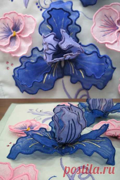 (2) Pinterest